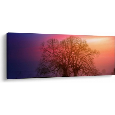 Obraz stromů v mlze, jednodílný 100x40 cm