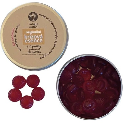 Energie rostlin Bachovy esence Krizové esence pastilky 50 g – Hledejceny.cz