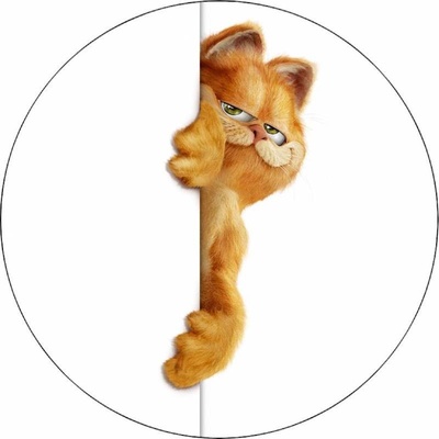 Jedlý papír Garfield za zdí 19,5 cm – Hledejceny.cz