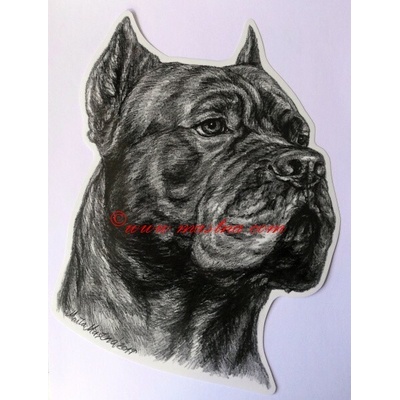 Samolepka cane corso c571 - Velká - přibližně A4 – Hledejceny.cz