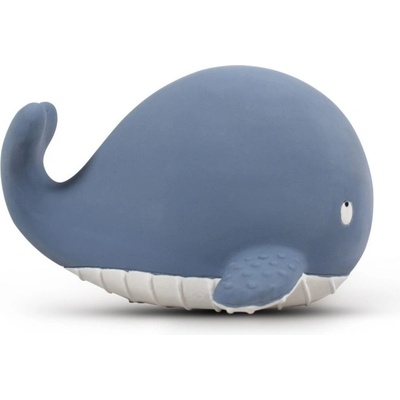 Filibabba Christian the Whale