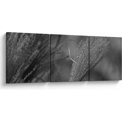 Obraz - Sušená pampová tráva (s hodinami), trojdielne 90x30 cm s hodinami