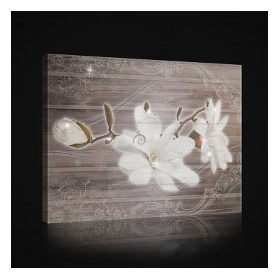 Obraz na plátne obdĺžník - OB0980 - Biely kvet 80cm x 60cm - O6