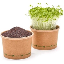 Tiny Greens Brokolice Verde - BIO semínka na klíčení a microgreens Velikost balení: 50 g