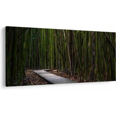 Obraz - Medzi bambusy, jednodielne 250x125 cm