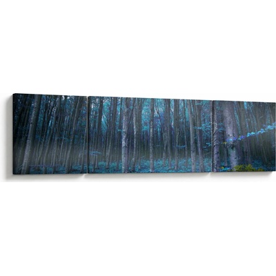 Obraz - Magický les, trojdielne 170x50 cm