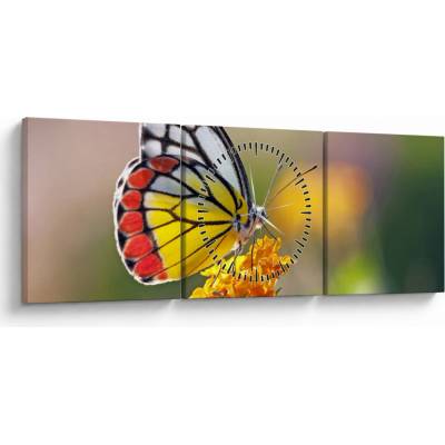 Obraz motýľa na kvete (s hodinami), trojdielne 90x30 cm s hodinami