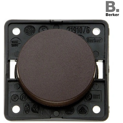 Berker integro 321/243