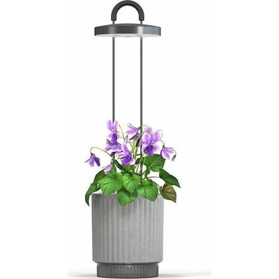 Smart Garden 1 Hydrovase, šedá PCW-114