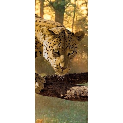 Preinterier DV0237 Fototapeta na stenu Leopard vlies 91cm x 211cm