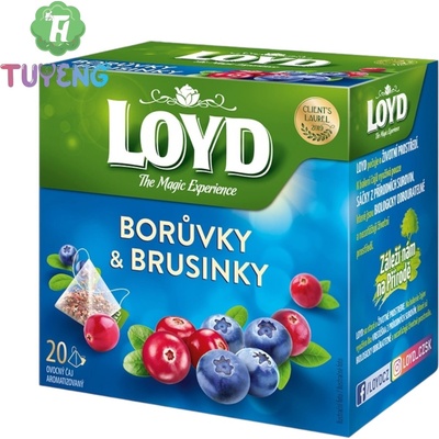 Loyd čaj borůvky a brusinky pyramidový 20 x 2 g
