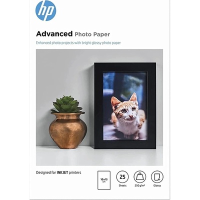 HP 10 x 15 cm, 250 g, 100 ks