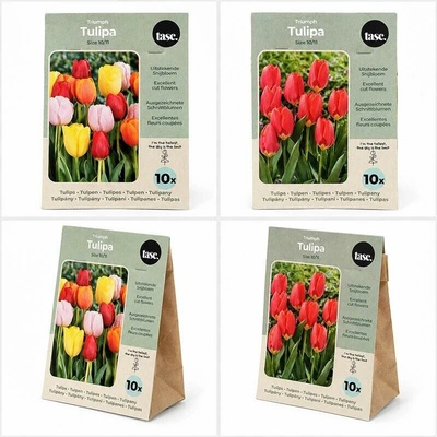 HANGZHOU A LINK STAR TECHNOLOGY CO. LIMITTED Cibuľky tulipánov Triumph – farebný mix, 10 ks