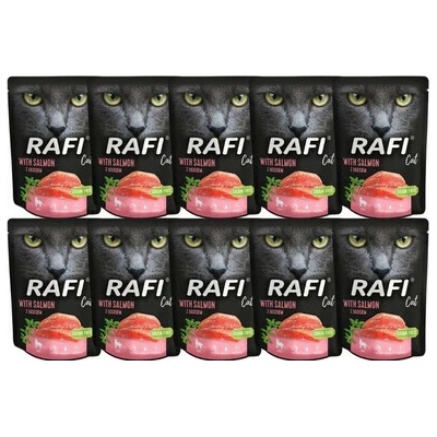 DOLINA NOTECI Rafi Cat s lososom 10x300 g