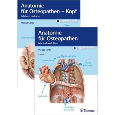 Set Anatomie für Osteopathen