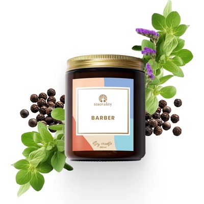 Renovality At The Barber 250 ml