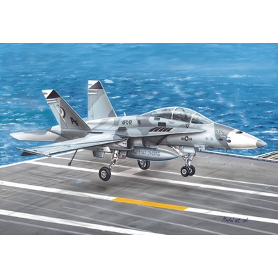 Hornet McDonnell Douglas F-:72