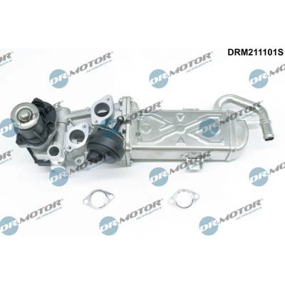 DR.MOTOR AUTOMOTIVE AGR - Ventil DRM211101S
