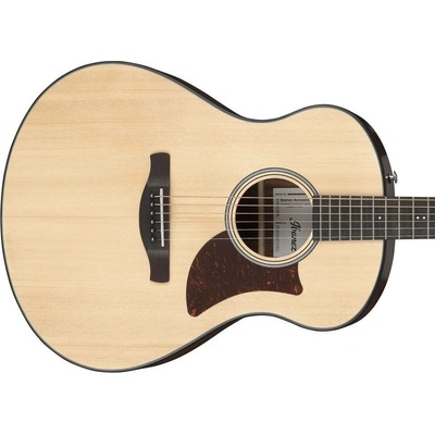 Ibanez AAM50