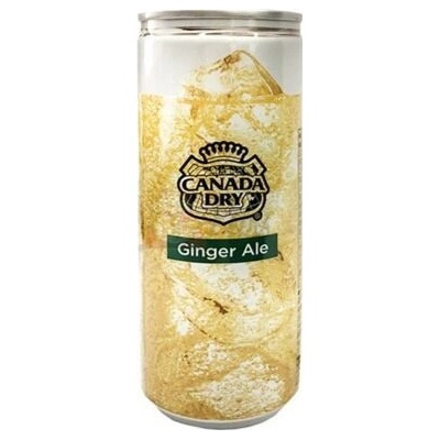 Canada Dry Japan sycený nápoj s příchutí zázvoru 250 ml