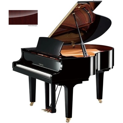 Yamaha C1X PM