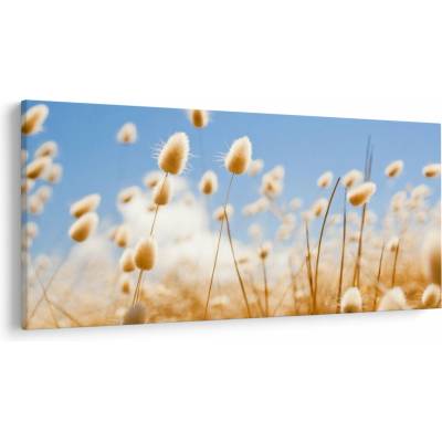 Obraz - Zlaté pole, jednodielne 200x100 cm