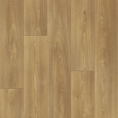 Beaulieu Fortex 2907 5 m 1 m²