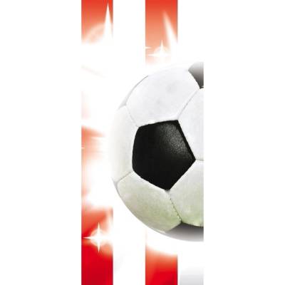 Preinterier DV0195 Fototapeta na stenu Futbalová lopta vlies 91cm x 211cm
