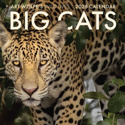 Big Cats Wall 2026