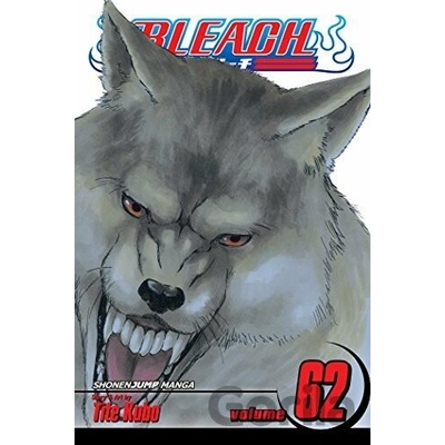 Tite Kubo - Bleach