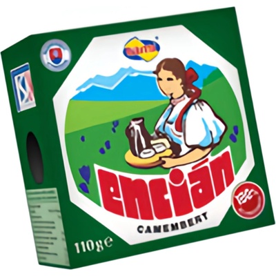 Tami Encián Camembert 110 g