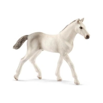Schleich 13860 Holfštýnský kůň hříbě – Hledejceny.cz