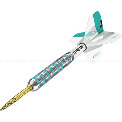 TARGET steel Rob Cross G2 Swiss 2020 21g 90% wolfram