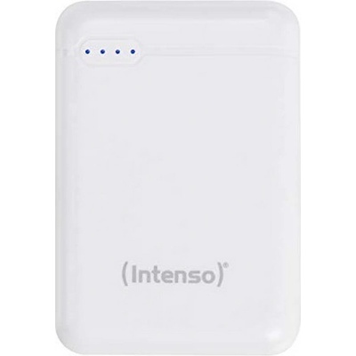 Intenso 7313532