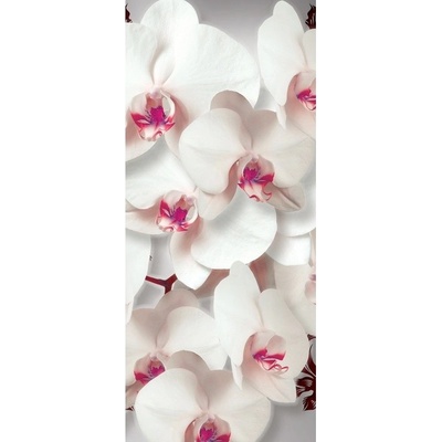 Preinterier Fototapeta - DV0317 - samolep. fólia - 91cm x 211cm