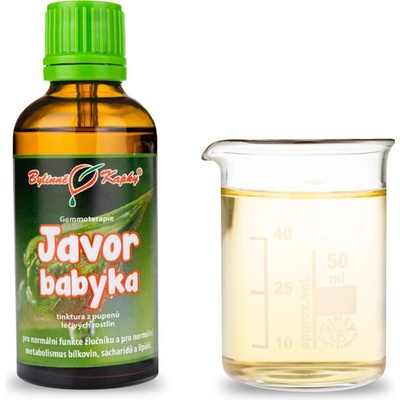 Javor babyka tinktura z pupenů (gemmoterapie) 50 ml doplněk stravy