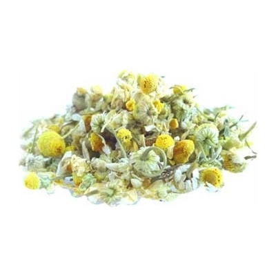 World Herbs Kopretina řimbaba nať 50 g