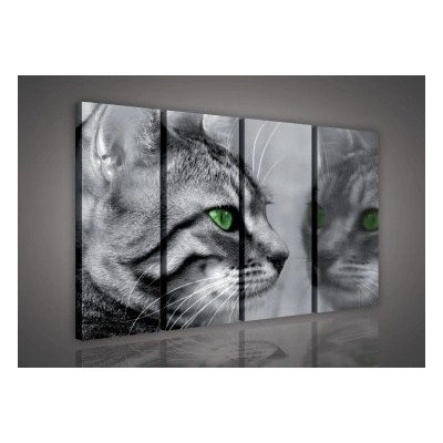 Obraz na plátne viacdielny - OB3333 - Mačka 120cm x 80cm - S7