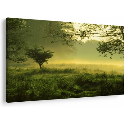 Obraz - Probouzející se les, jednodílný 120x80 cm
