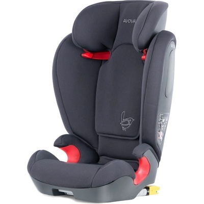 AVOVA Star-fix 2024 Koala Grey