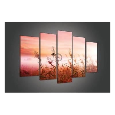 Obraz na plátne viacdielny - OB3449 - Klasy 100cm x 60cm - S17
