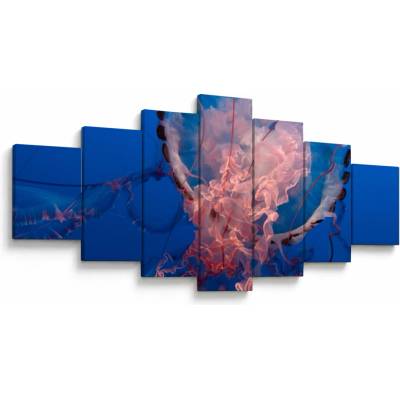 Obraz medúzy, sedemdielne 210x100 cm
