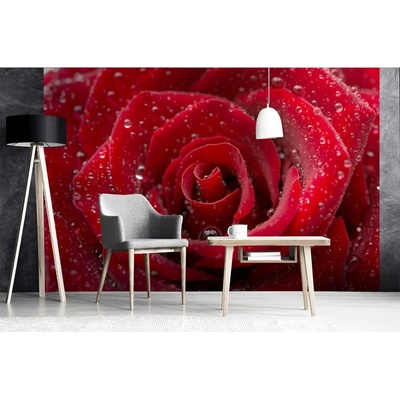 Dimex MS-5-0138 vliesová fototapeta na zeď Červená růže rozměry 375 x 250 cm