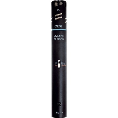 AKG C391 B