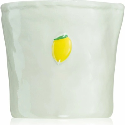 Paddywax Bistro Meyer Lemon 226 g