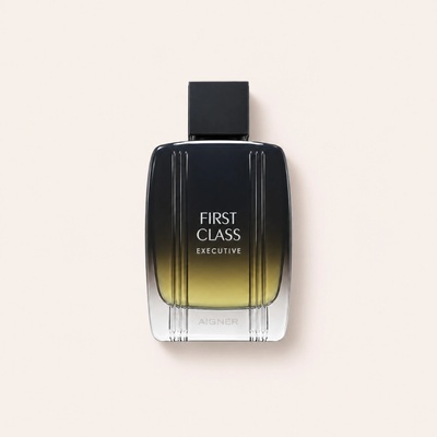Aigner Etienne First Class Executive toaletní voda pánská 100 ml