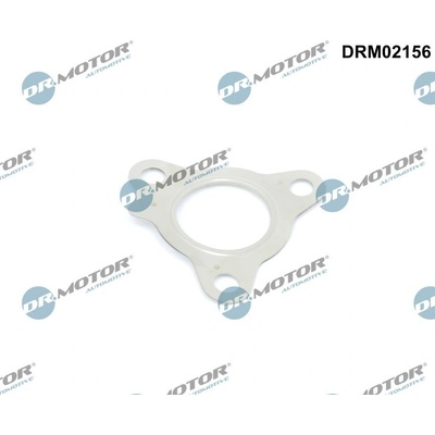 Tesnenie turbodúchadla Dr.Motor Automotive DRM02156