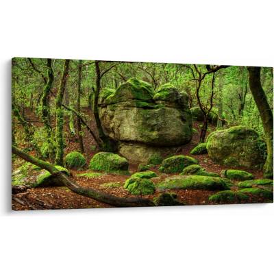 Obraz čarovného lesa, jednodielne 120x70 cm
