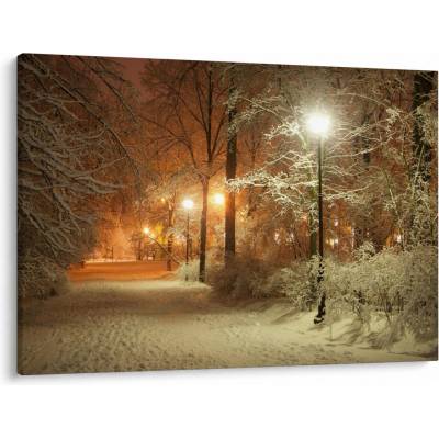 Obraz - Zasnežený park, jednodielne 100x70 cm