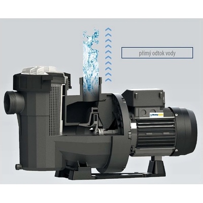 Astralpool VICTORIA PLUS SILENT 16m³/h 230 V, 65562 – Hledejceny.cz